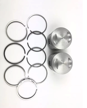 Поршень ЮПИТЕР №0 к-т