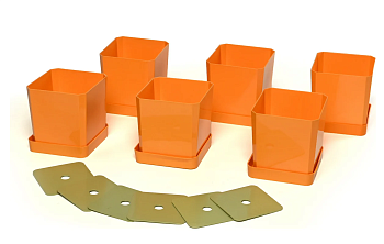 Набор горшков/рассады 6х0,5л оранжевый