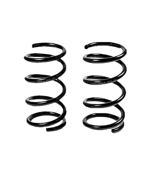 Пружина задняя JJS2169