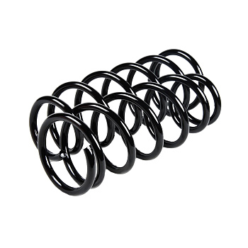 Пружина задняя JJS2179