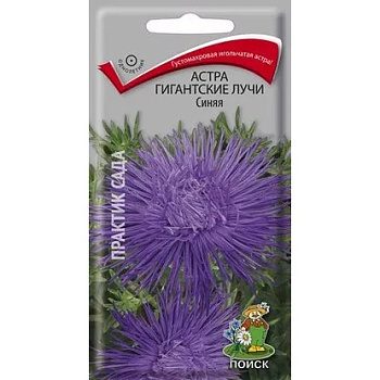 Цветы Астра Гигантские лучи Синяя (одн,игольч,60см) 0,3г Поиск