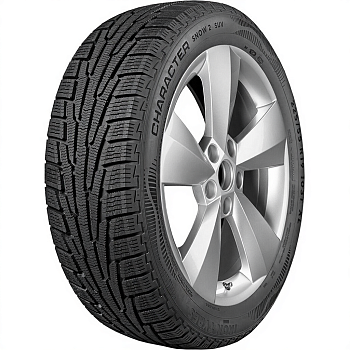 Автошина 205/55R17 Ikon (Nokian Tyres) Character Snow 2 (Nordman RS2) 95H  XL
