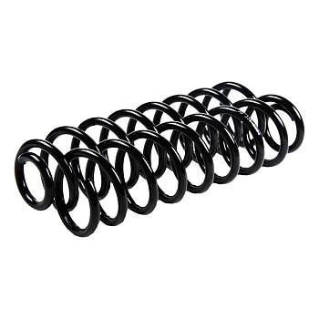 Пружина задняя JJS2093