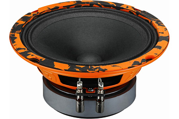 Система акустическая DL Audio Gryphon Pro 165