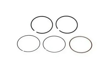 Кольца поршневые в сборе для RC250CS,RC250CK (166FMM 250 cc)