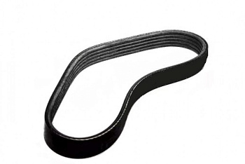 Ремень  DONGIL 6PK955