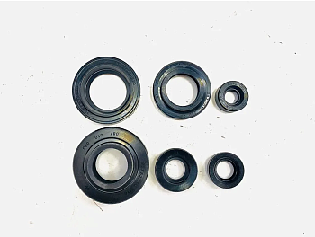 Набор сальников двигателя муравей 