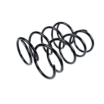 Пружина передняя JJS1141