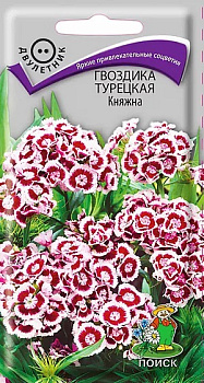 Цветы Гвоздика турецкая Княжна (двулет,бело-красн,40-45см) 0,3г Поиск
