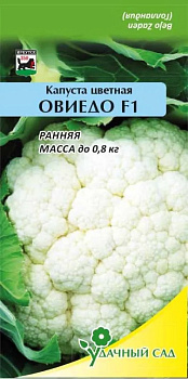Капуста цв Овиедо F1 (ультраранний, 1,5 кг, устойчив к перепадам температур) 10 шт Удачный Сад