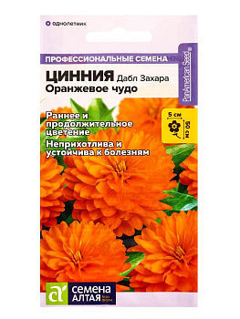 Цветы Цинния Стар Оранж (выс 30 см) 5 шт ЗС