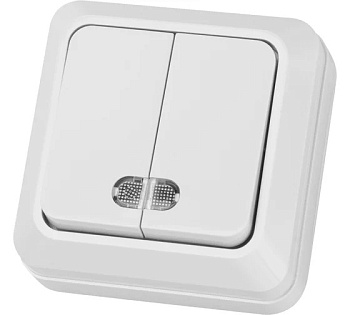 Выключатель двухклавишный ОП с подстветкой 10А, белый "Ладога"