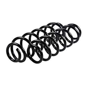 Пружина задняя JJS2075