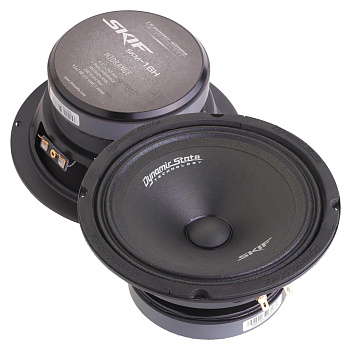 Система акустическая Dynamic State SKIF SKM-16H